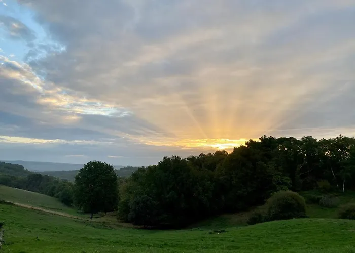 Le De La Villenie - En Pleine Nature - 5 Min Centre De Sarlat-la-Canéda